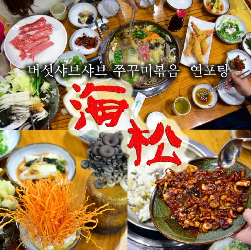 해송 대표이미지